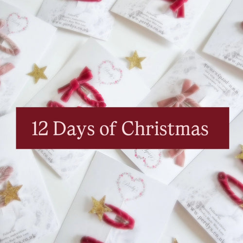 12 Days of Advent -  Special offer each day