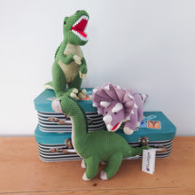 Load image into Gallery viewer, Knitted Triceratops Dinosaur by Wilberry